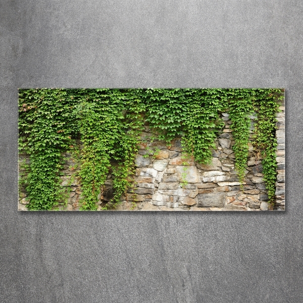 Quadro in vetro Edera verde
