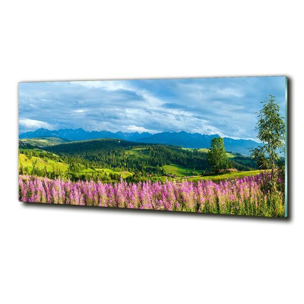 Quadro vetro Lavanda in montagna