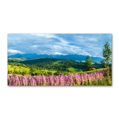 Quadro vetro Lavanda in montagna