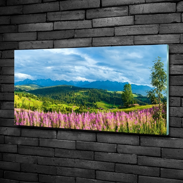 Quadro vetro Lavanda in montagna