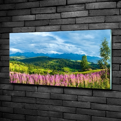 Quadro vetro Lavanda in montagna