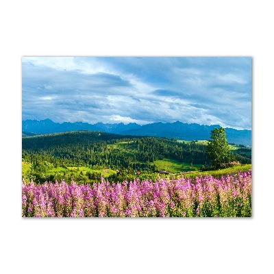 Quadro vetro Lavanda in montagna