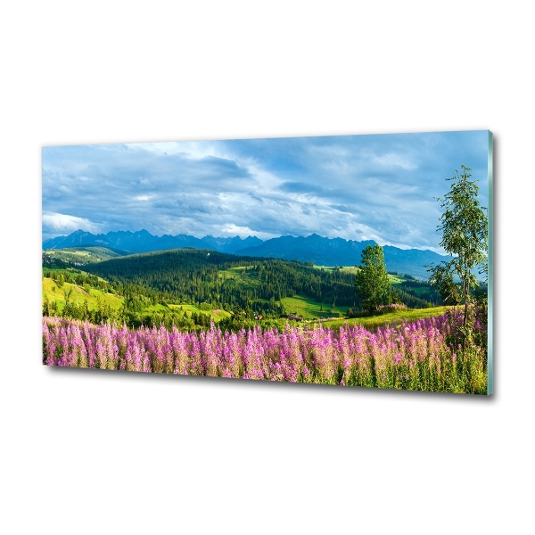 Quadro vetro Lavanda in montagna