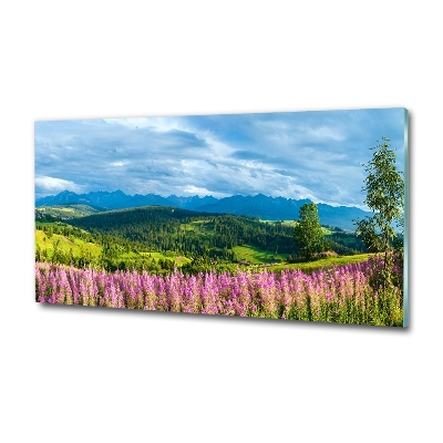 Quadro vetro Lavanda in montagna