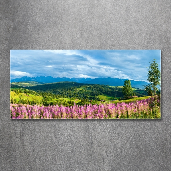 Quadro vetro Lavanda in montagna