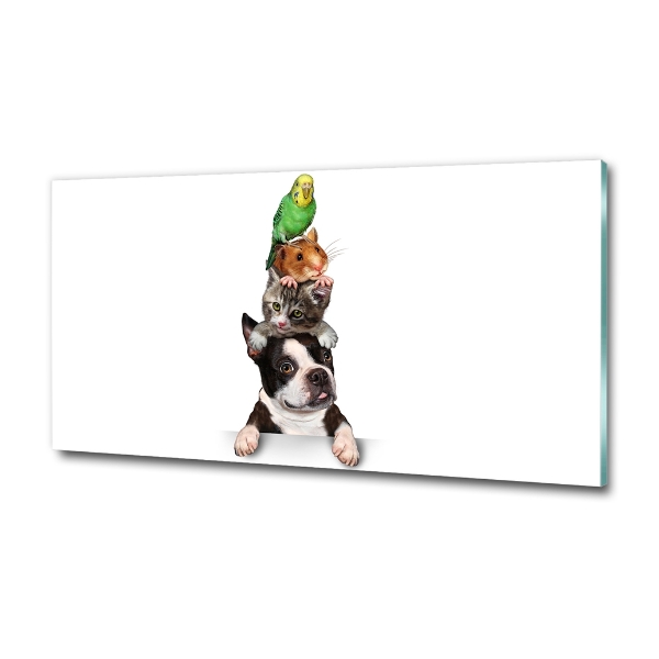 Quadro vetro Un gruppo di animali