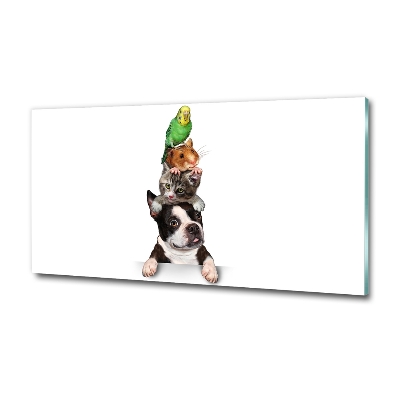 Quadro vetro Un gruppo di animali