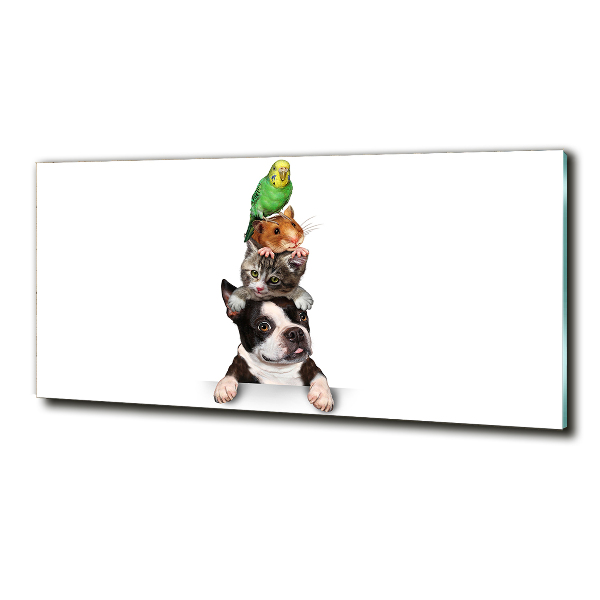 Quadro vetro Un gruppo di animali