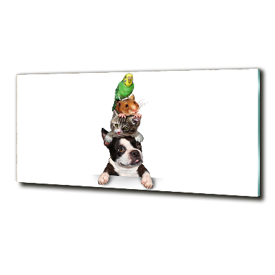 Quadro vetro Un gruppo di animali