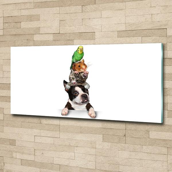 Quadro vetro Un gruppo di animali