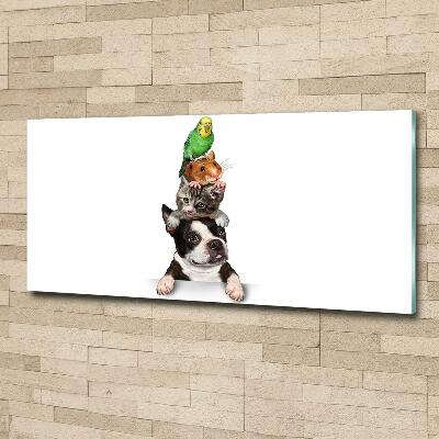 Quadro vetro Un gruppo di animali