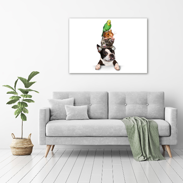 Quadro vetro Un gruppo di animali