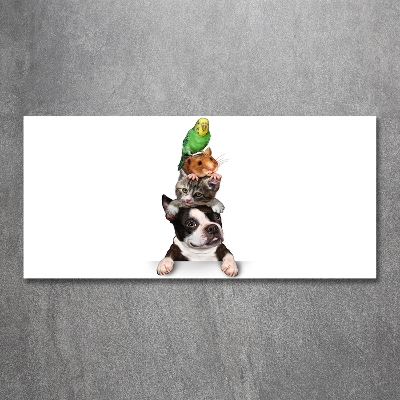 Quadro vetro Un gruppo di animali