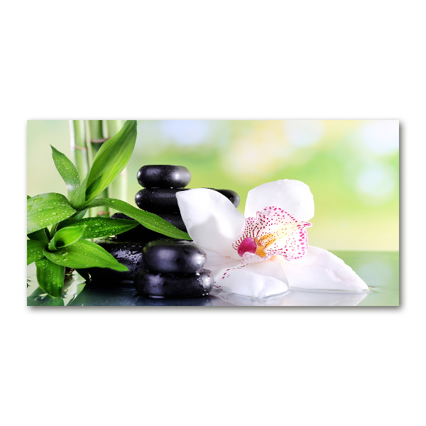 Quadro su vetro Orchidea