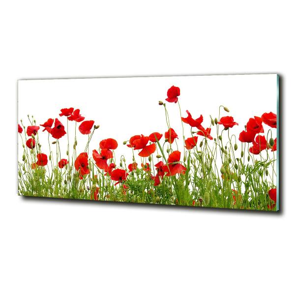 Quadro vetro Papaveri