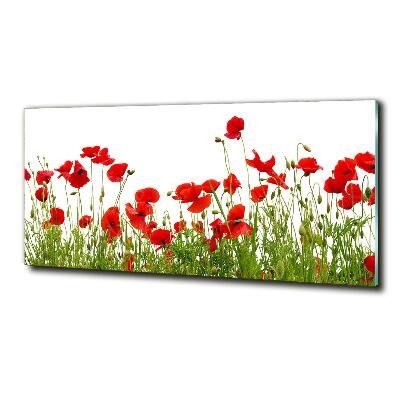 Quadro vetro Papaveri
