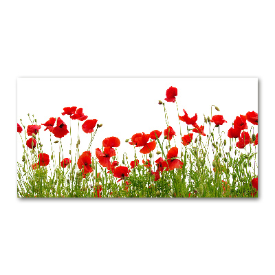 Quadro vetro Papaveri