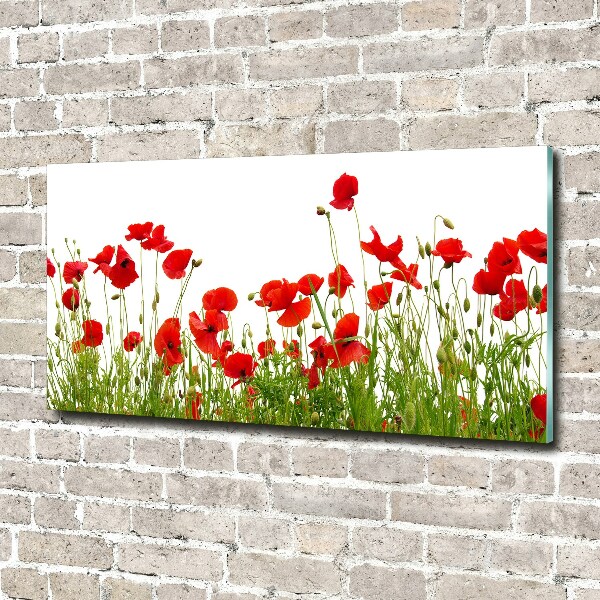 Quadro vetro Papaveri