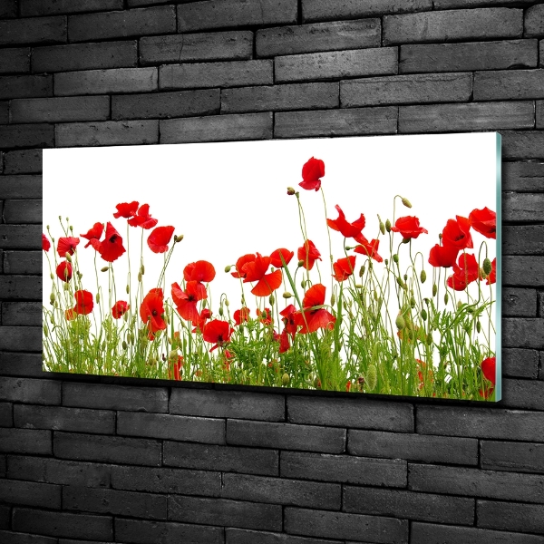 Quadro vetro Papaveri