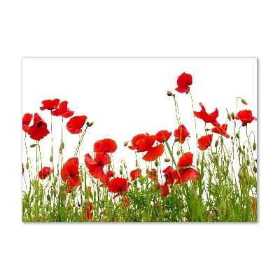 Quadro vetro Papaveri