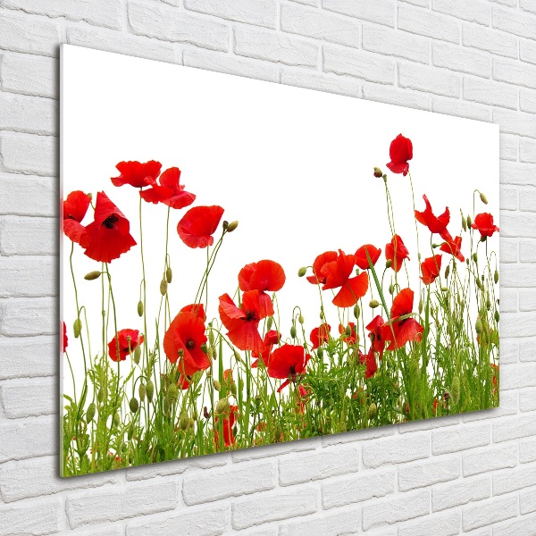 Quadro vetro Papaveri