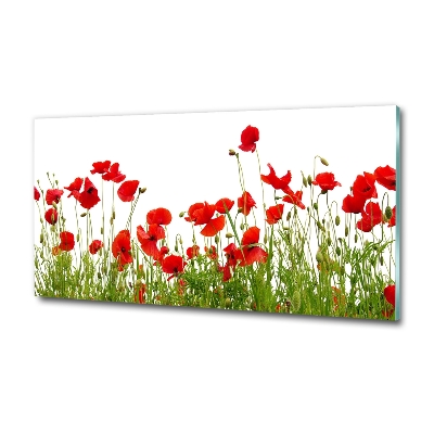 Quadro vetro Papaveri