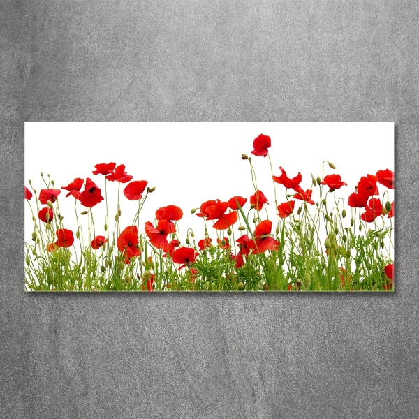 Quadro vetro Papaveri