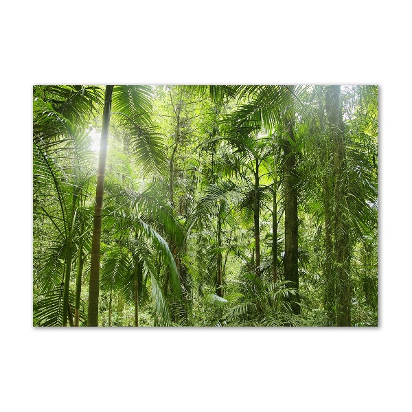 Quadro in verde Foresta tropicale