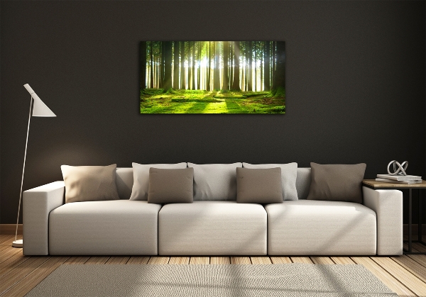 Quadro vetro Foresta al sole
