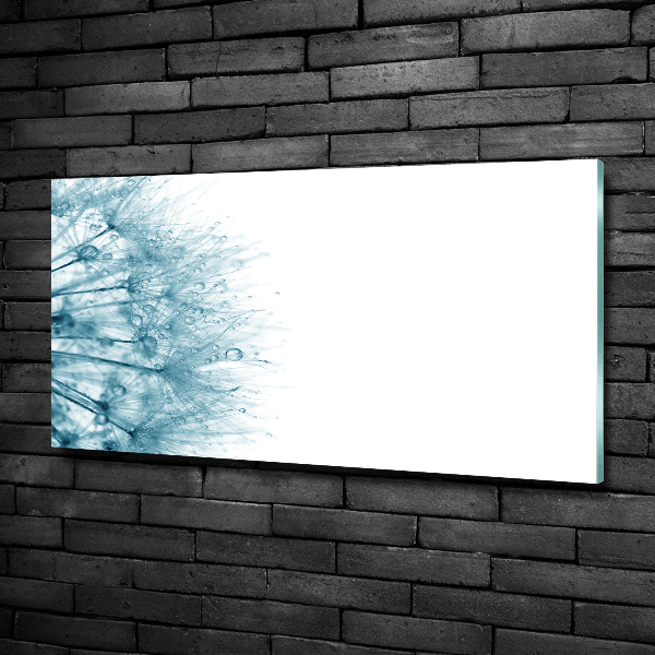 Quadro su vetro Dente di leone