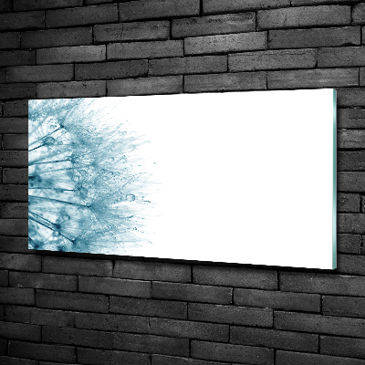 Quadro su vetro Dente di leone