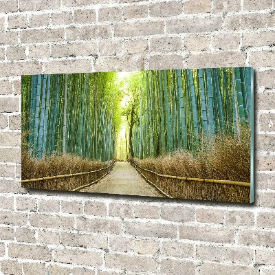 Quadro su vetro Foresta di bambù