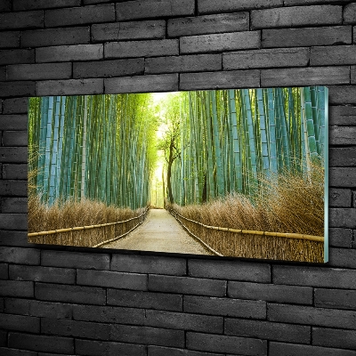 Quadro su vetro Foresta di bambù