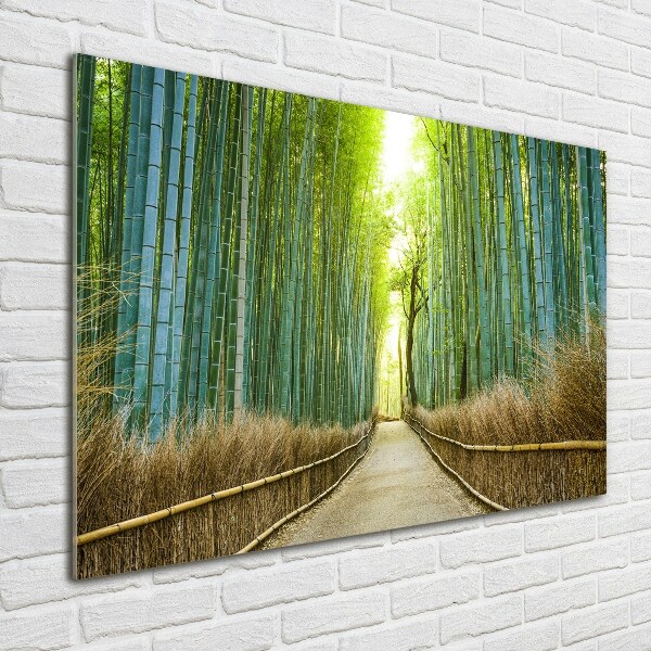 Quadro su vetro Foresta di bambù