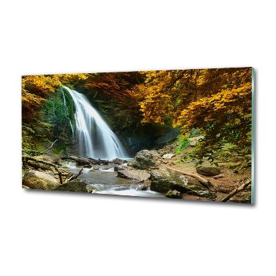 Quadro su vetro Cascata nella foresta
