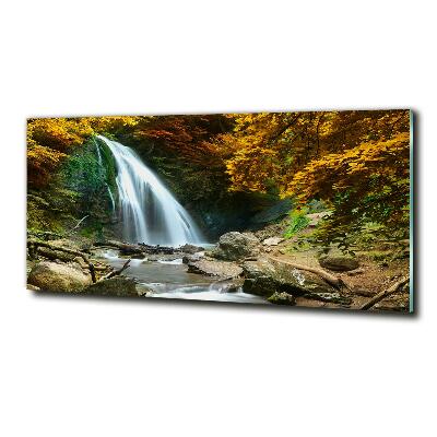 Quadro su vetro Cascata nella foresta
