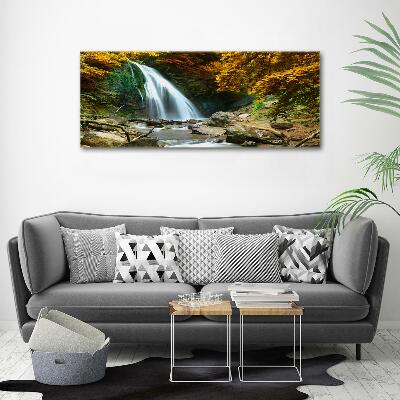 Quadro su vetro Cascata nella foresta