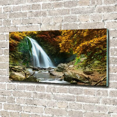 Quadro su vetro Cascata nella foresta