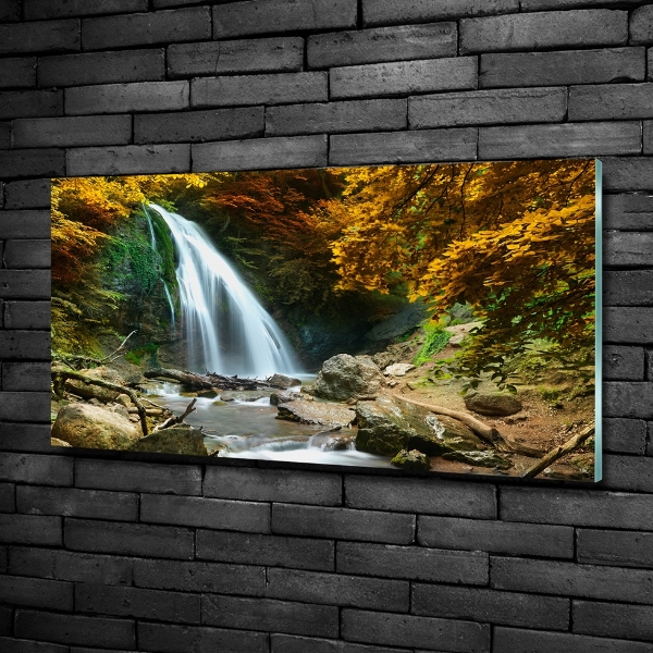 Quadro su vetro Cascata nella foresta