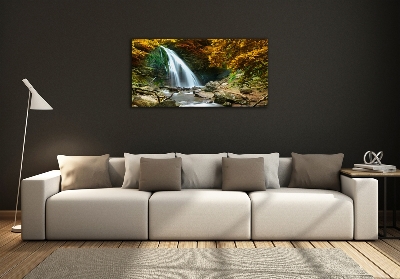 Quadro su vetro Cascata nella foresta