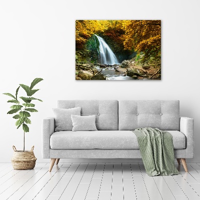 Quadro su vetro Cascata nella foresta
