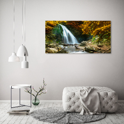 Quadro su vetro Cascata nella foresta