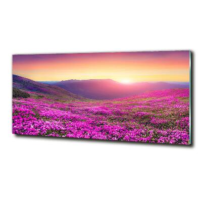 Quadro vetro Colline rosa
