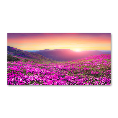 Quadro vetro Colline rosa