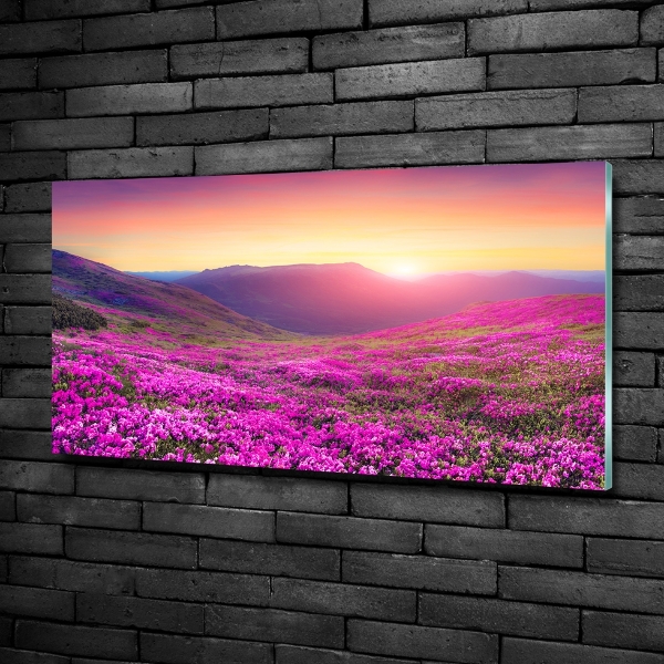Quadro vetro Colline rosa
