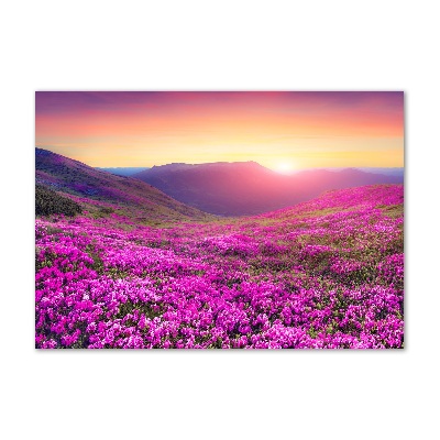 Quadro vetro Colline rosa