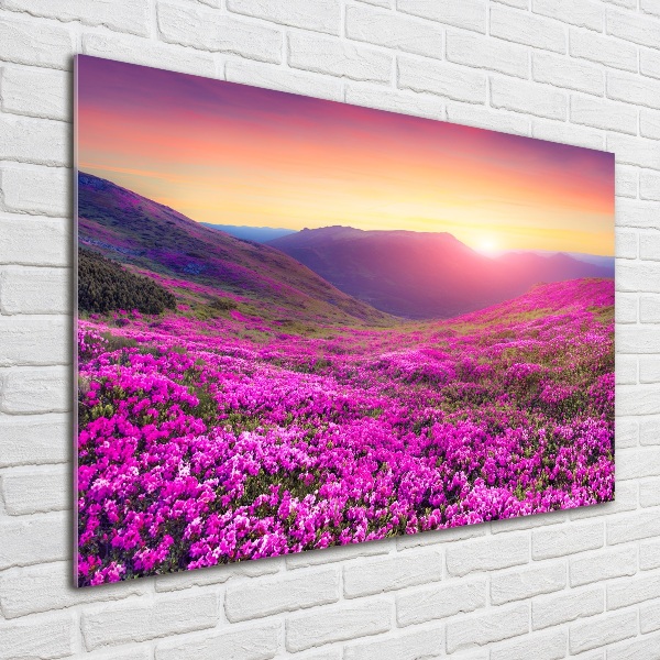 Quadro vetro Colline rosa