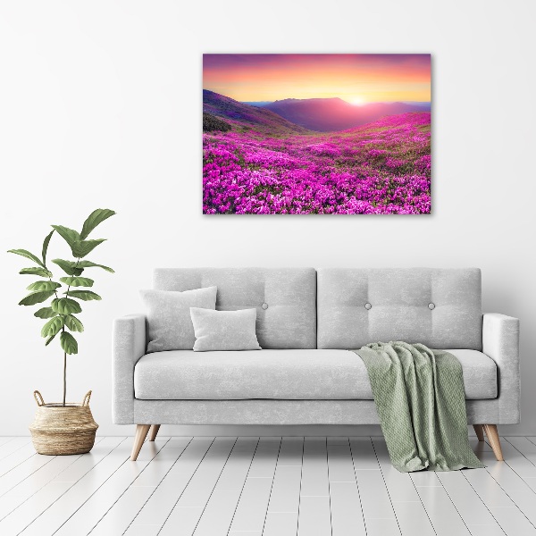 Quadro vetro Colline rosa