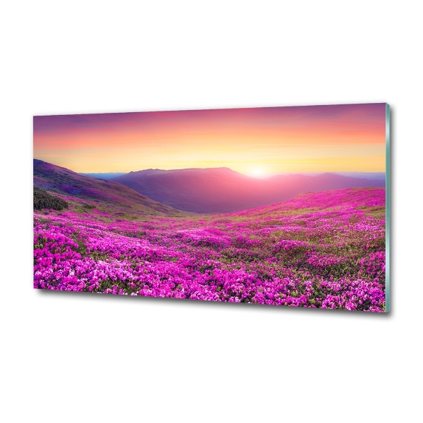 Quadro vetro Colline rosa