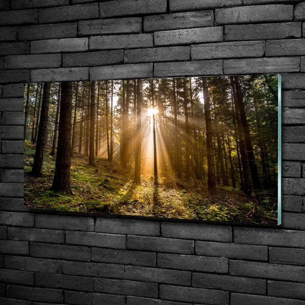 Quadro in vetro Luce solare